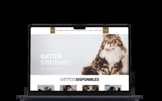 Strona hodowli kotów syberyjskich Gatito Siberiano